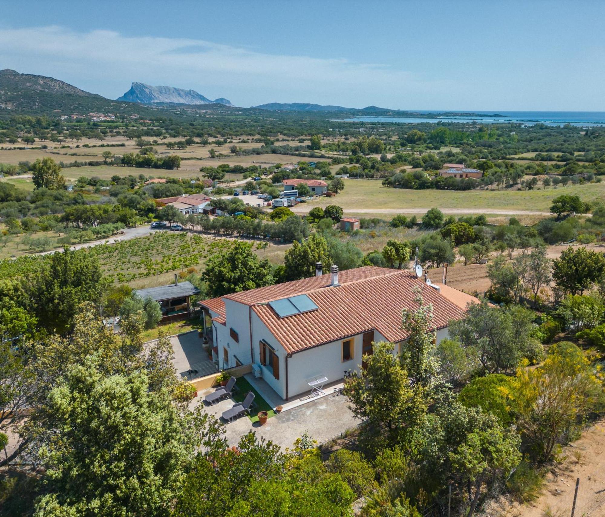 La Casa In Collina - Affittacamere Con Vista Mare Lu Lioni Exterior foto